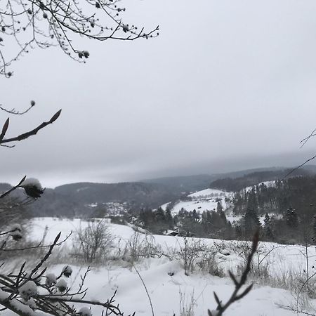 Bergchalet La Roubine Willingen Neerdar ภายนอก รูปภาพ