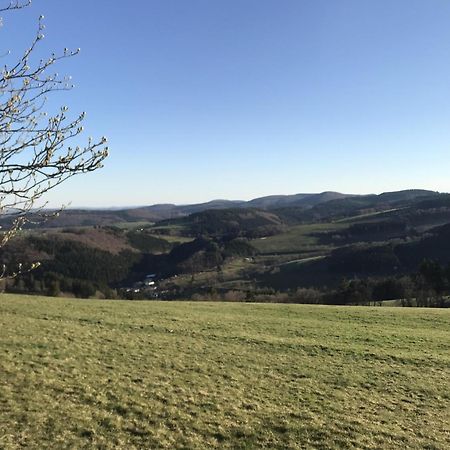Bergchalet La Roubine Willingen Neerdar ภายนอก รูปภาพ