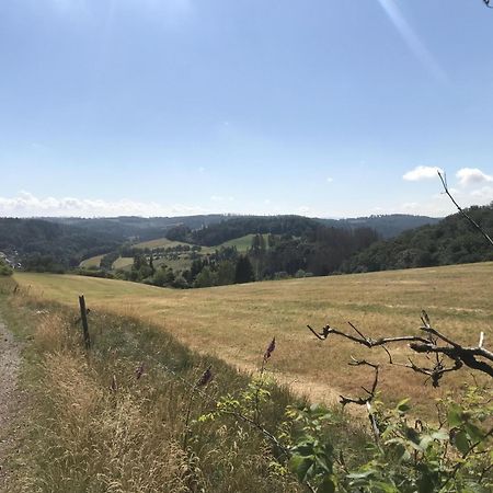 Bergchalet La Roubine Willingen Neerdar ภายนอก รูปภาพ