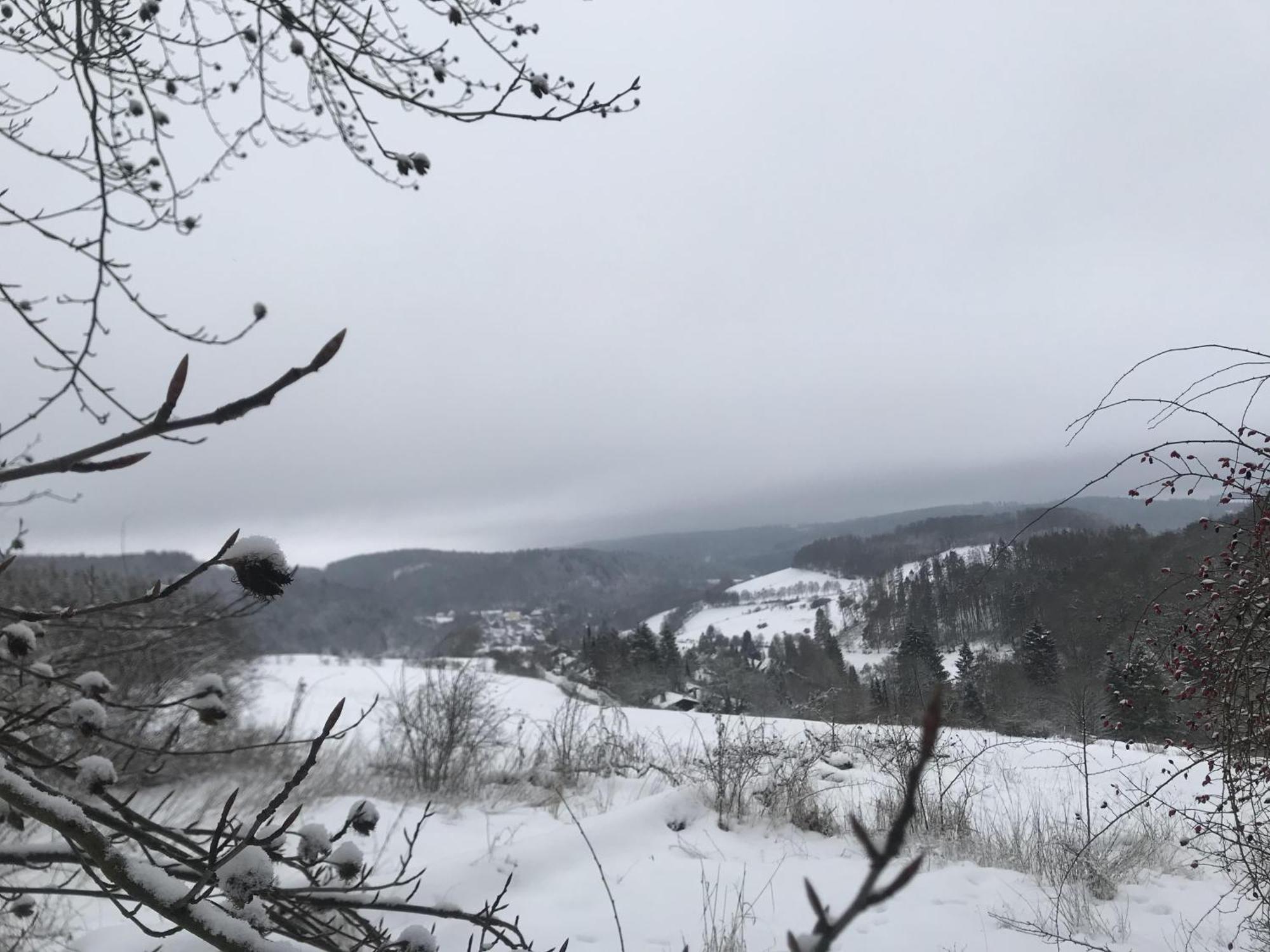 Bergchalet La Roubine Willingen Neerdar ภายนอก รูปภาพ