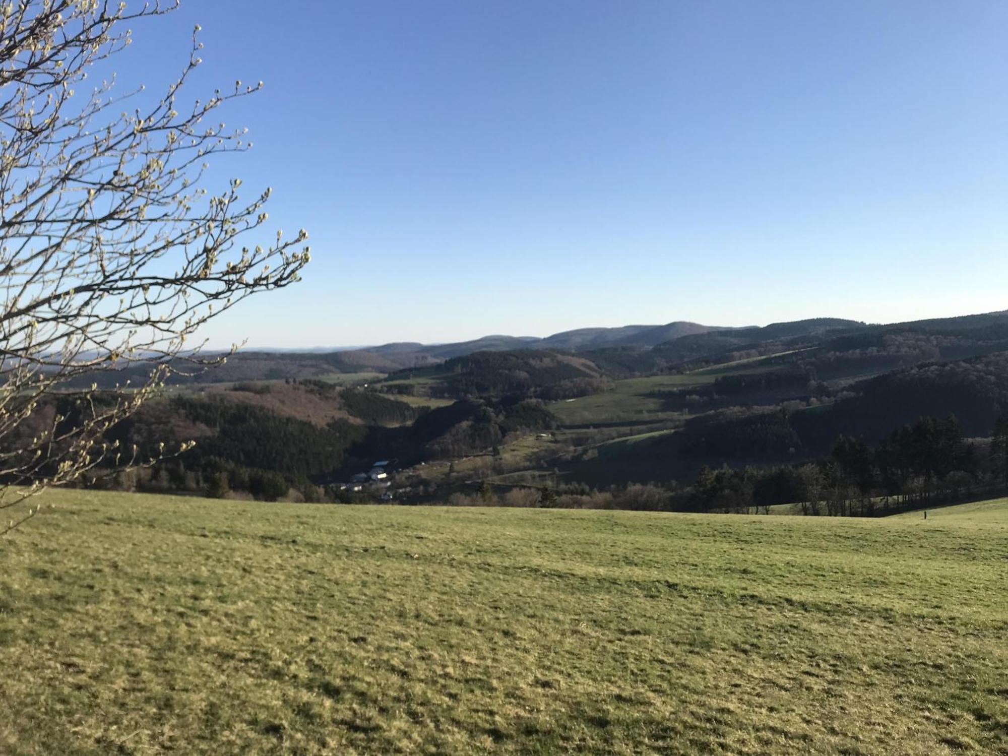 Bergchalet La Roubine Willingen Neerdar ภายนอก รูปภาพ